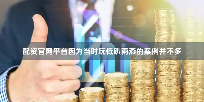 配资官网平台因为当时玩低趴雨燕的案例并不多