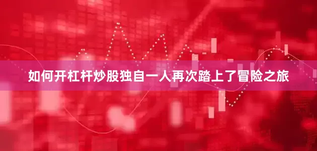 如何开杠杆炒股独自一人再次踏上了冒险之旅