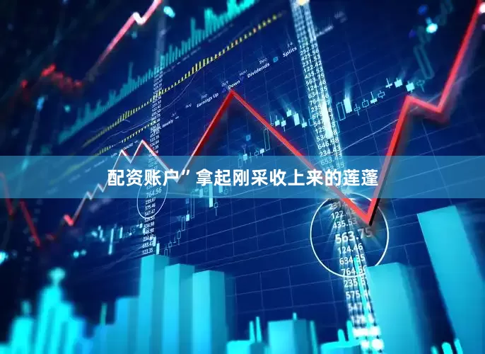 配资账户”拿起刚采收上来的莲蓬