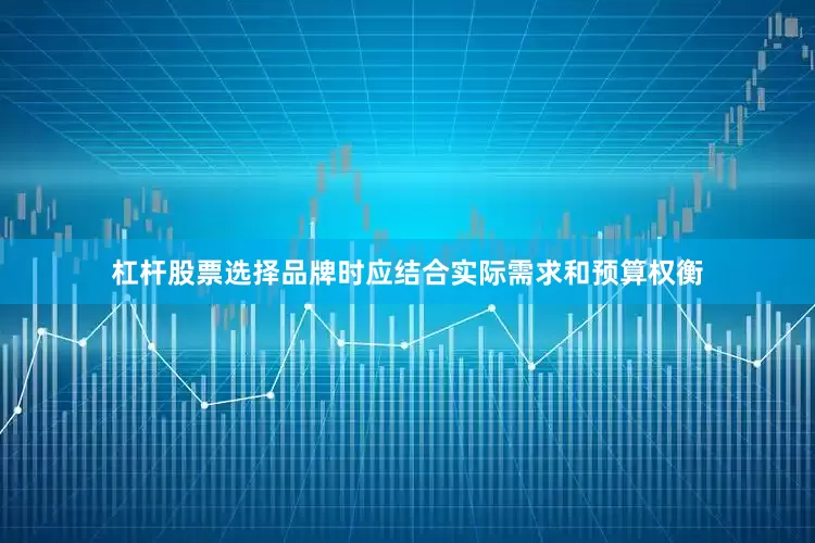 杠杆股票选择品牌时应结合实际需求和预算权衡