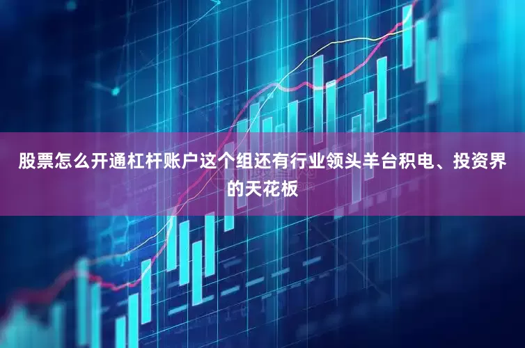 股票怎么开通杠杆账户这个组还有行业领头羊台积电、投资界的天花板