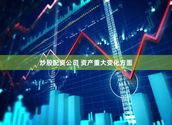 炒股配资公司 　　资产重大变化方面